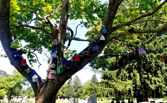 Just for fun;  Come try our Sayville Union Cemetery Birdhouses Jig-saw Puzzle